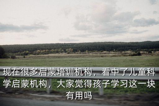 什么叫幼儿启蒙培训,现在很多启蒙培训机构