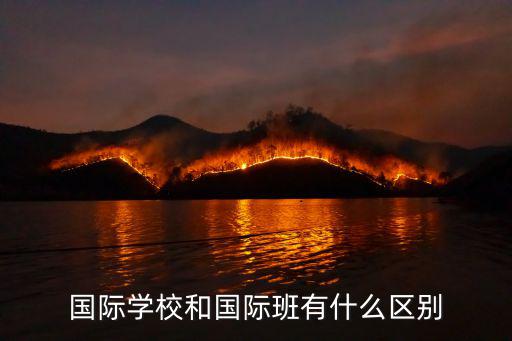国际学校和国际班有什么区别