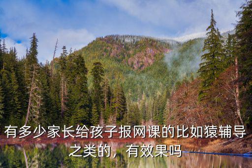 有多少家长给孩子报网课的比如猿辅导之类的，有效果吗