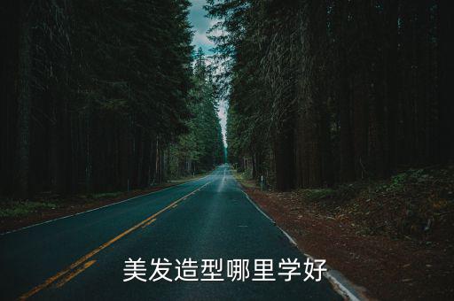 美发造型哪里学好