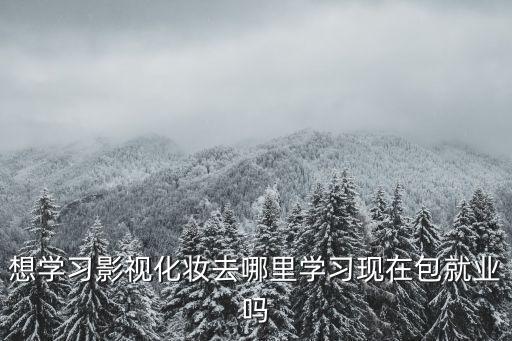 想学习影视化妆去哪里学习现在包就业吗