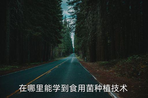 在哪里能学到食用菌种植技术