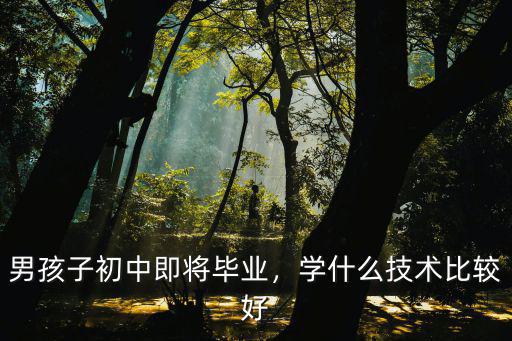 男生中学毕业学什么技术好,初中毕业男生学什么技术好