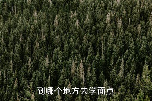 到哪个地方去学面点