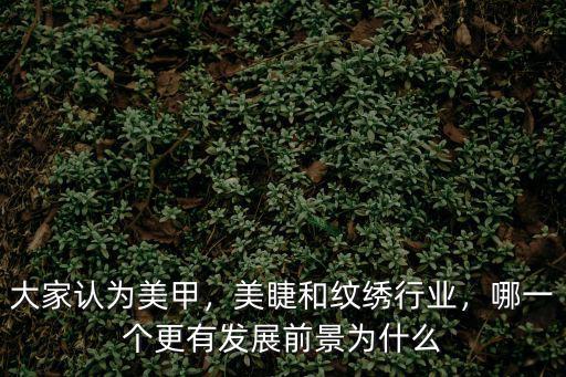 大家认为美甲，美睫和纹绣行业，哪一个更有发展前景为什么