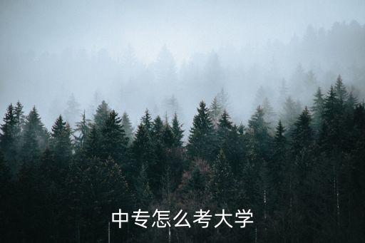 中专怎么考大学