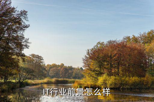 IT行业前景怎么样