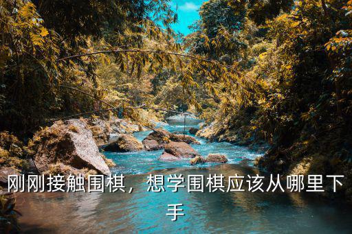 刚刚接触围棋，想学围棋应该从哪里下手