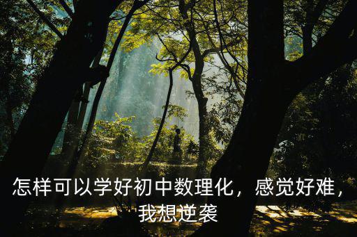 初中数理化怎么学,最近学高一数理化觉得特别难