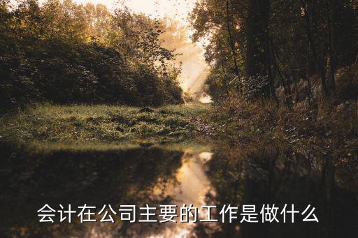 会计在公司主要的工作是做什么