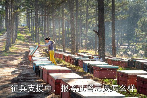 怎么报考武警,武警退伍回来怎么考特警