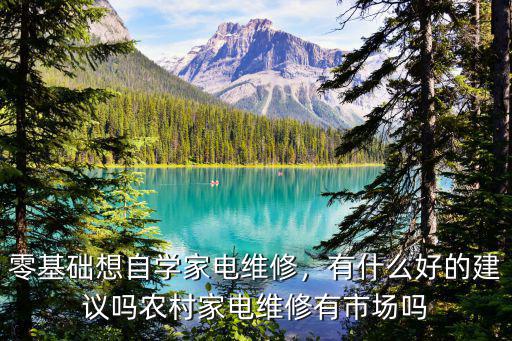 零基础想自学家电维修，有什么好的建议吗农村家电维修有市场吗