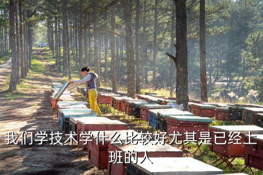 上班族学些什么好,我们学技术学什么比较好