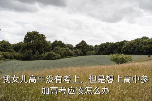 我女儿高中没有考上，但是想上高中参加高考应该怎么办