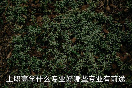 职高包括什么专业,上职高学什么专业好