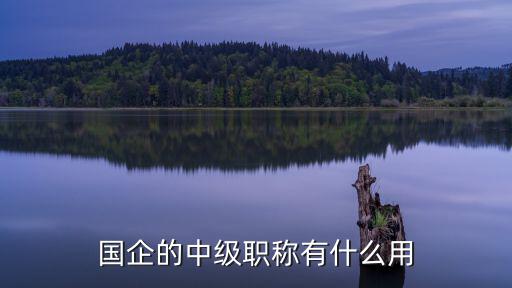 国企的中级职称有什么用