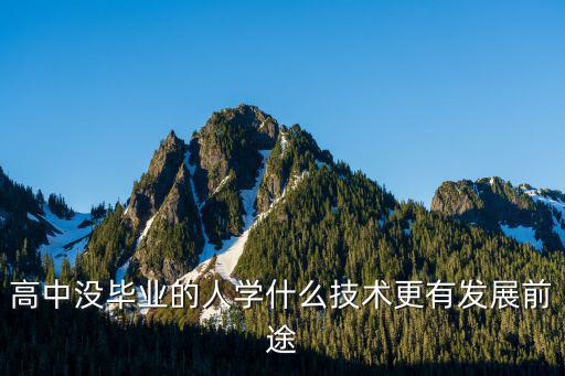 高中没毕业的人学什么技术更有发展前途