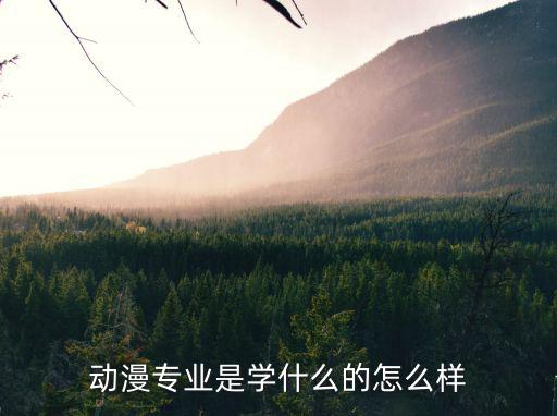 动漫专业是学什么的怎么样