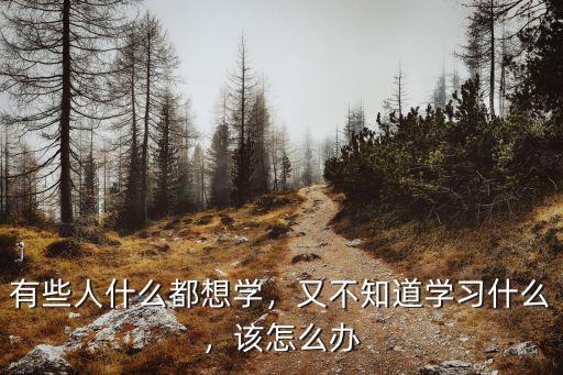 有些人什么都想学，又不知道学习什么，该怎么办