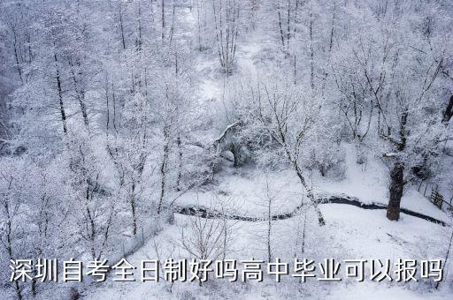 深圳自考全日制好吗高中毕业可以报吗
