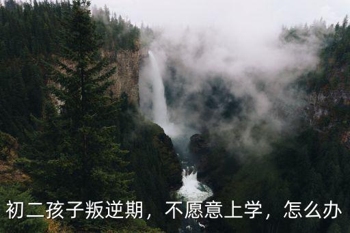 初中孩子不愿意学习怎么办,上初中的孩子不爱学习