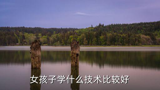 女孩子学什么技术比较好