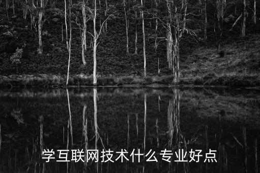 学互联网技术什么专业好点