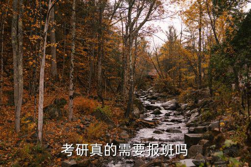考研真的需要报班吗