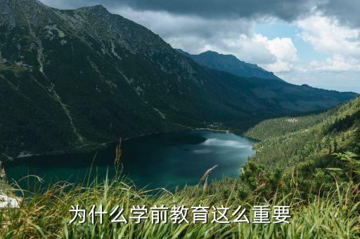 为什么学前教育这么重要