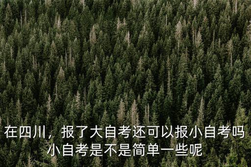 在四川，报了大自考还可以报小自考吗小自考是不是简单一些呢