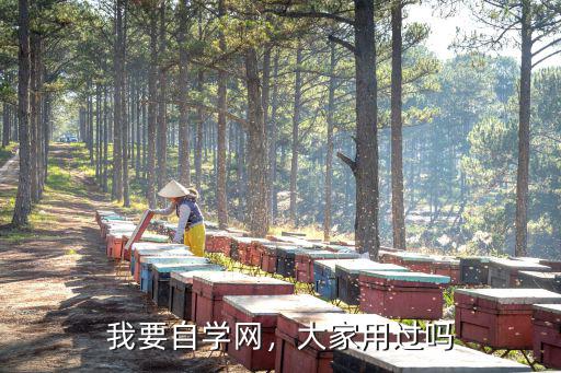 自修网怎么样,CAD自学网怎么样