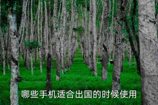短期出国手机怎么办,哪些手机适合出国的时候使用
