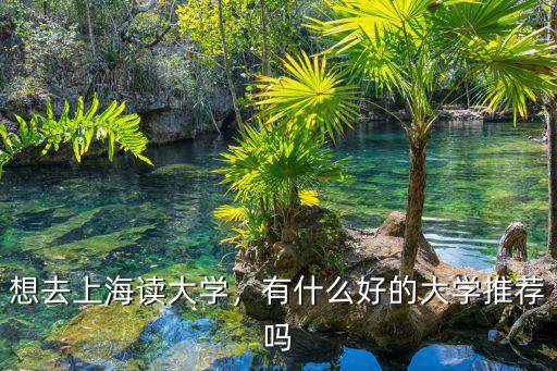 想去上海读大学，有什么好的大学推荐吗