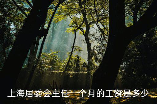 上海居委会主任一个月的工资是多少