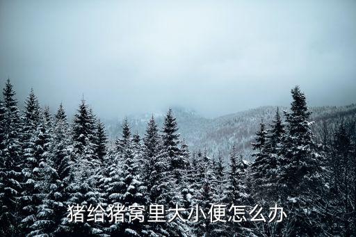 猪脱产怎么办,猪给猪窝里大小便怎么办