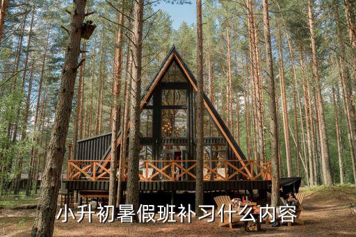 暑期班是教些什么,小升初暑假班补习什么内容
