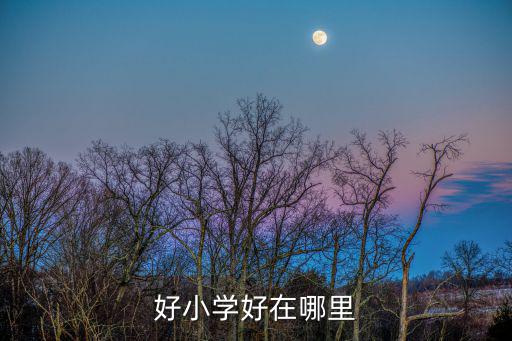 哪里小学好,燕郊哪里上小学比较好