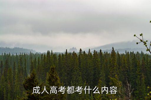 河南语文专升本考什么,河南专升本难吗