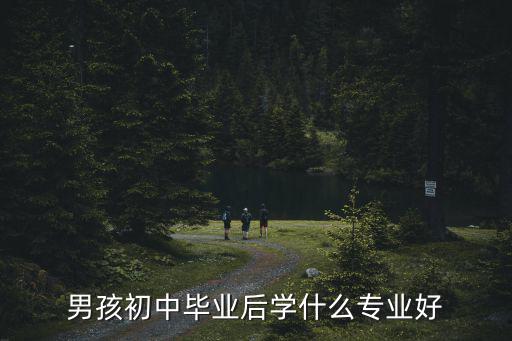 初中毕业男孩子学什么专业好,男孩初中毕业后学什么专业好