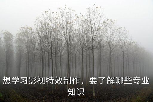 想学习影视特效制作，要了解哪些专业知识