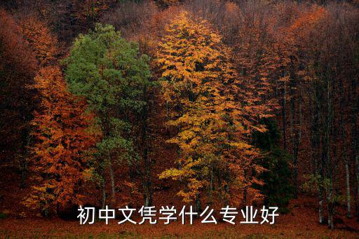 初中文凭学什么专业好