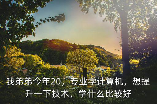 2013学什么技术,30岁的女性可以学什么手艺