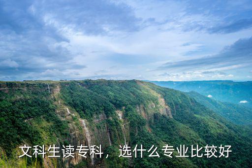 文科生读专科，选什么专业比较好