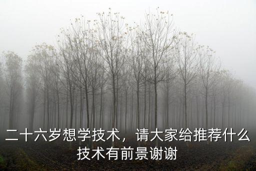 二十六岁想学技术，请大家给推荐什么技术有前景谢谢