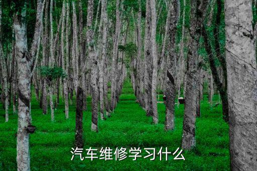 学汽车维修都包括什么,汽修都学哪些东西