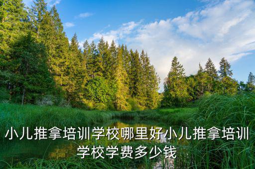 常德小儿推拿哪里好,小儿推拿培训哪家好