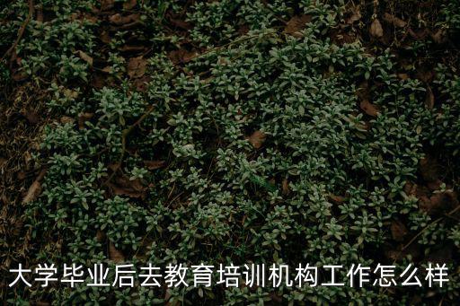 大学毕业后去教育培训机构工作怎么样