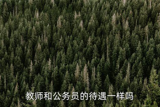 教师和公务员的待遇一样吗