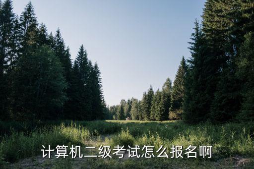计算机二级考试怎么报名啊