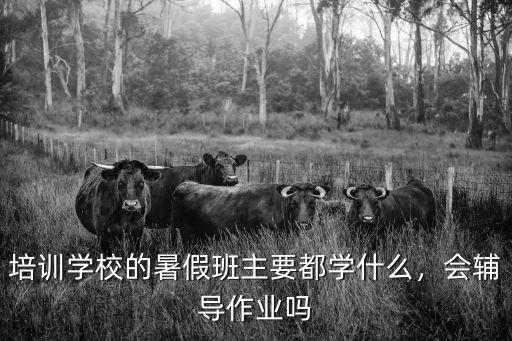 名人培训学校学什么的,蛋糕培训学校的学费贵吗